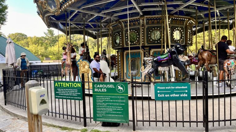 guests enjoying the carousel at the Maryland zoo photo booth event